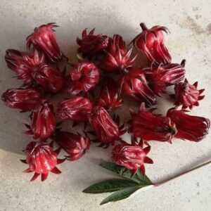 Flor De Jamaica