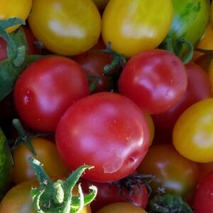 Tomate Rojo Chico