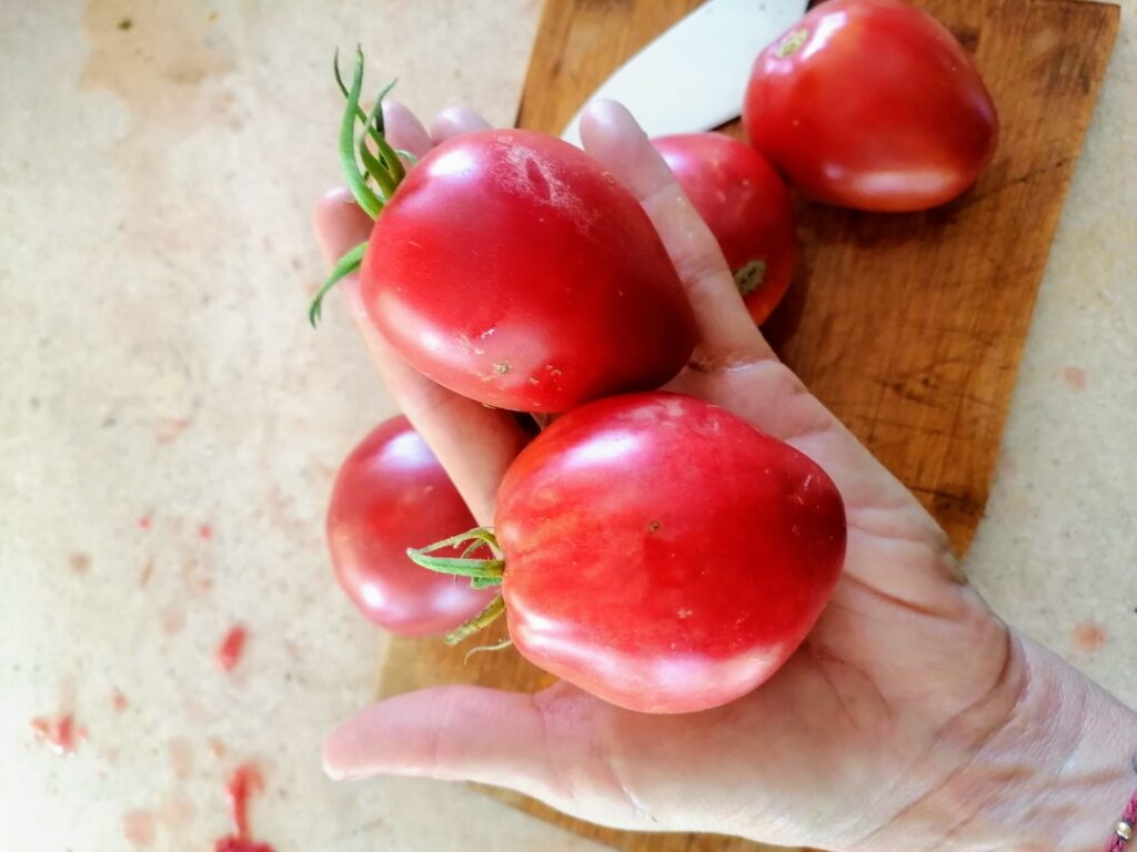 Tomate Corazoncito Rosado