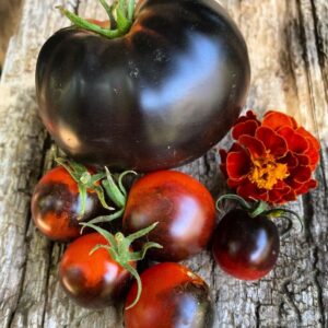 Tomate Bocadito Nocturno (Midnight Snack)