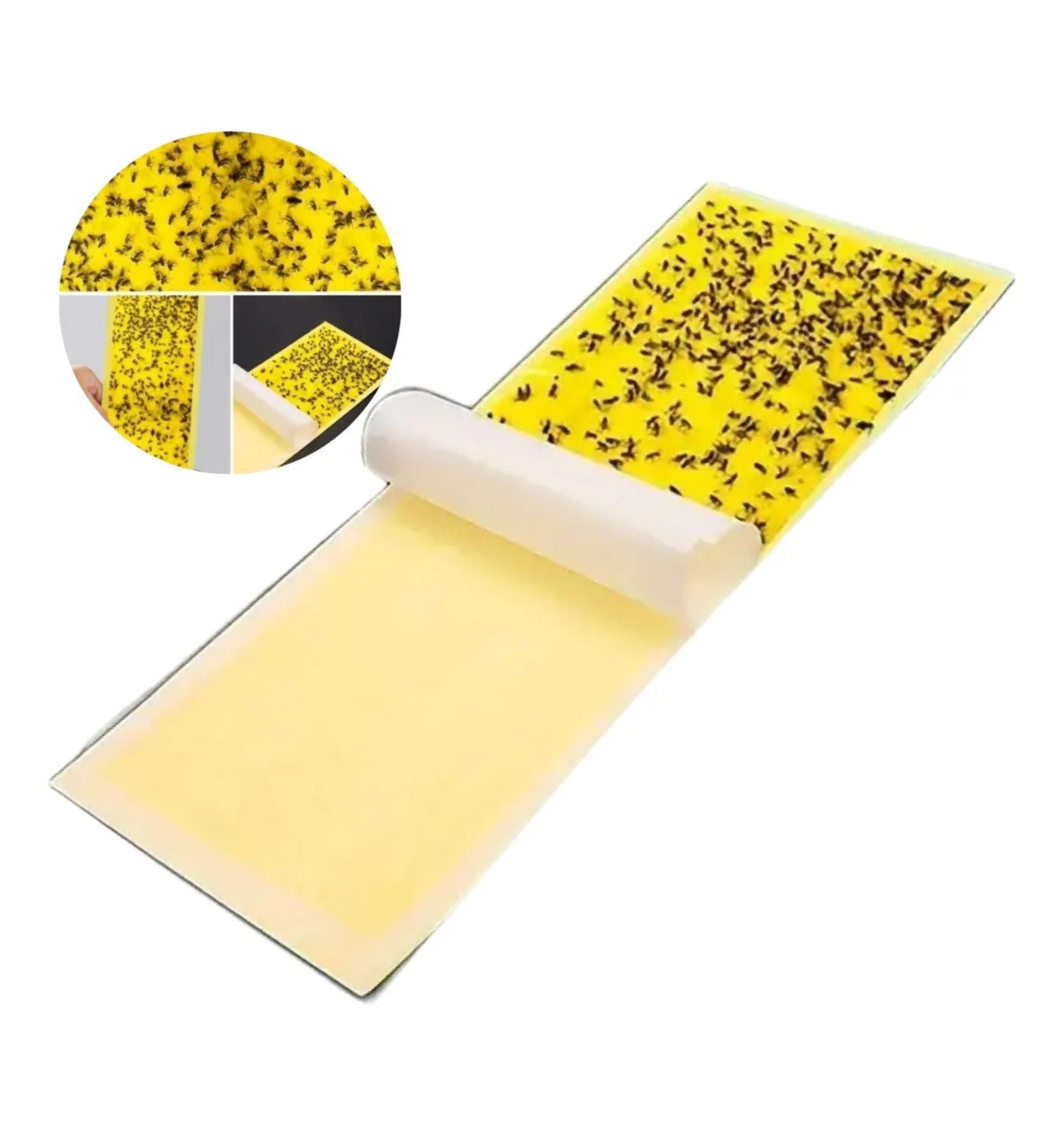 Trampas Adhesivas Amarillas 10u — Mosquitas y Plagas Voladoras