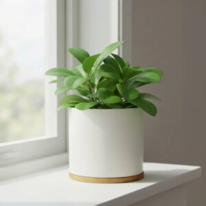 Macetero de Cerámica Nórdico con Base de Bambú 15,5 cm