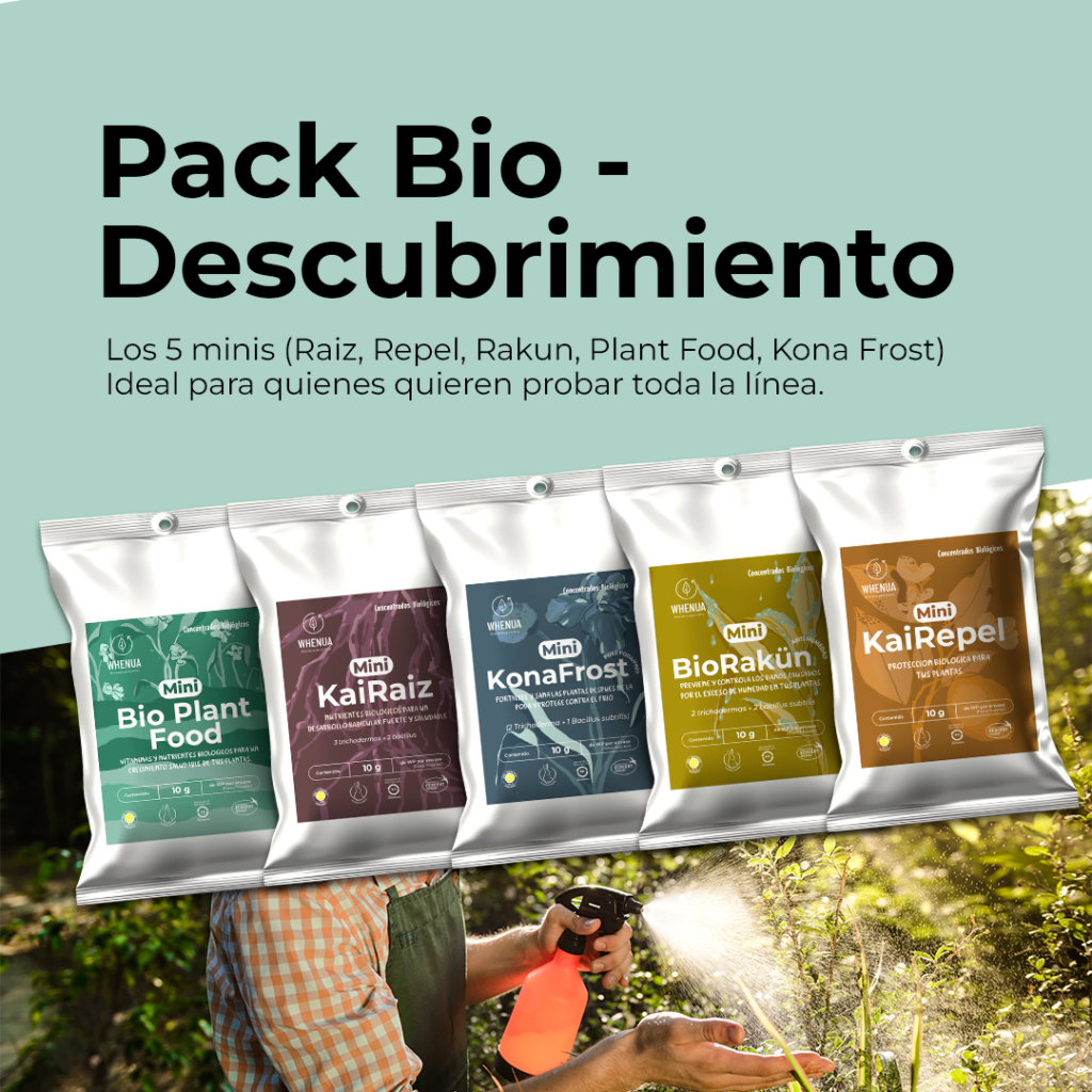 Pack Descubrimiento Bio
