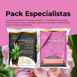 Pack Especialistas