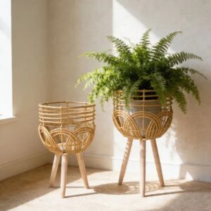 Portamacetero de Mimbre con Patas de Madera | Decoración Natural para Plantas