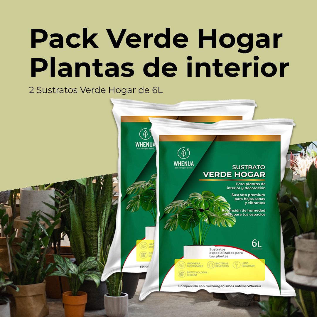 Pack Verde Hogar — Para Plantas de Interior