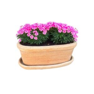 Jardinera Etrusca con Plato 35cm Ovalada Terracota