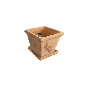 Set Maceta Cuadrada con Relieve Oliva con plato