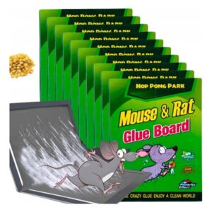 Pack 10 Trampas Adhesivas para Ratones — Control Seguro y Eficaz