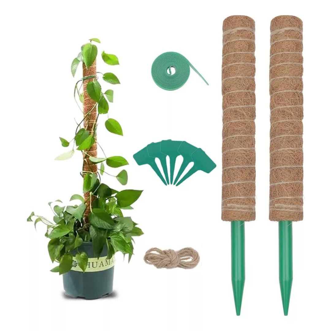 Juego de Tutores de Musgo para Plantas Trepadoras — 2 Tutores de Coco + Accesorios