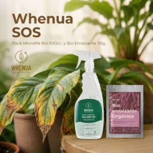 Pack Recupera Plantas — Enraizante + Bioestimulante Whenua