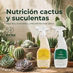 Pack Cuidado Suculentas — Enraizante + Fertilizante